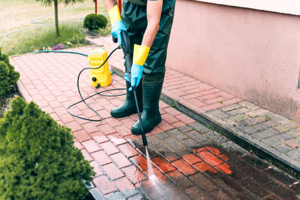 Best Building Exterior Washing  in Rancho Viejo, TX